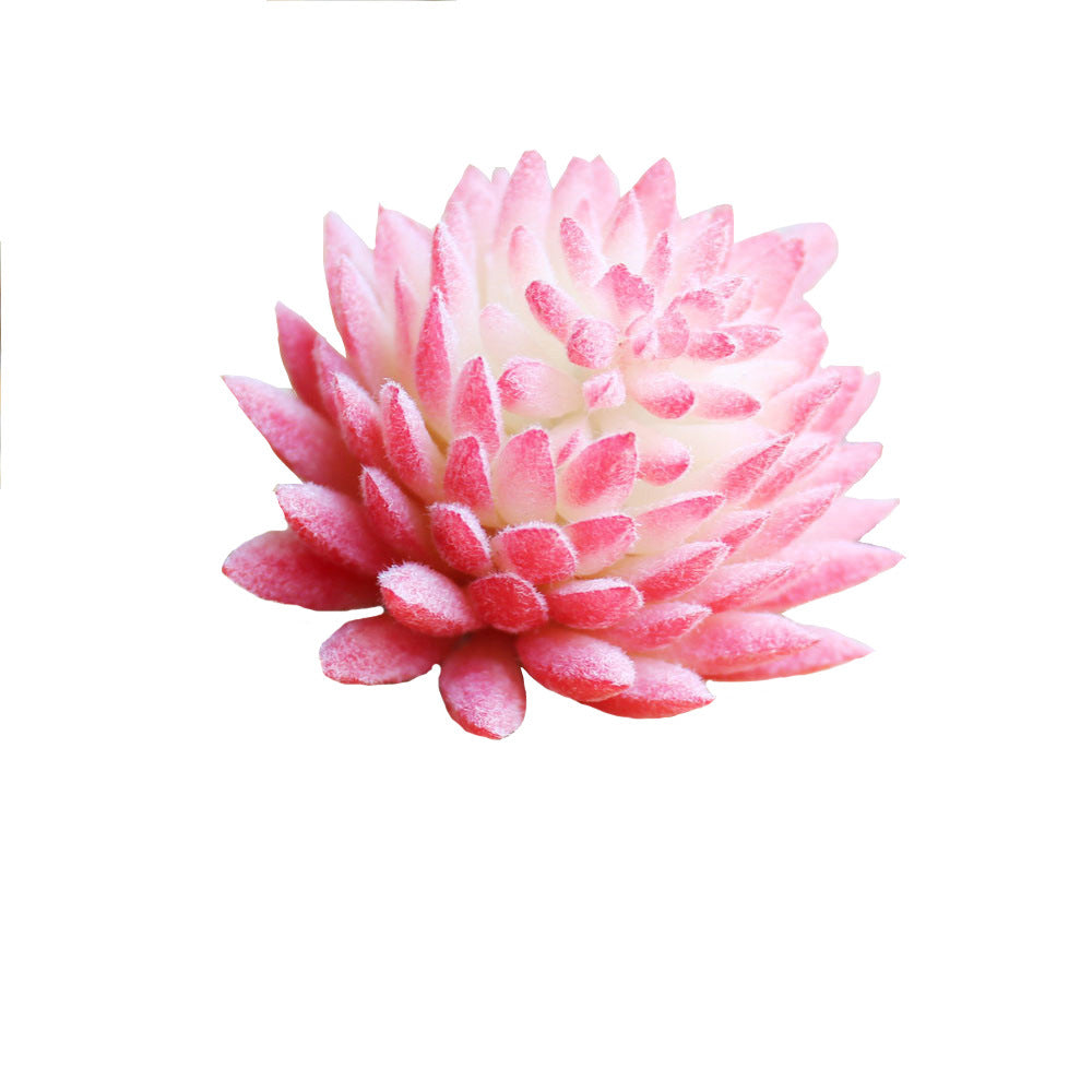 62bb50b17f5c4d0b4e680c8fdfee3768